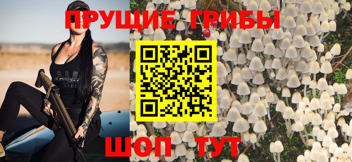 где продают наркотики  Псилоцибиновые грибы GOLDEN TEACHER  Вход с VPN  Псилоцибиновые грибы Magic Shrooms  Серпухов 